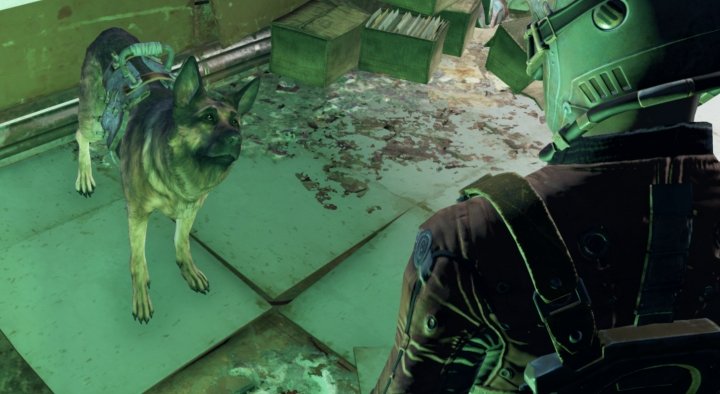 Command Dogmeat to search for loot in Fallout 4