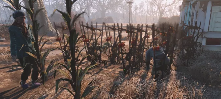 A garden in Fallout 4