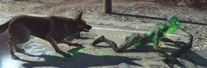 can dogmeat die in fallout 3