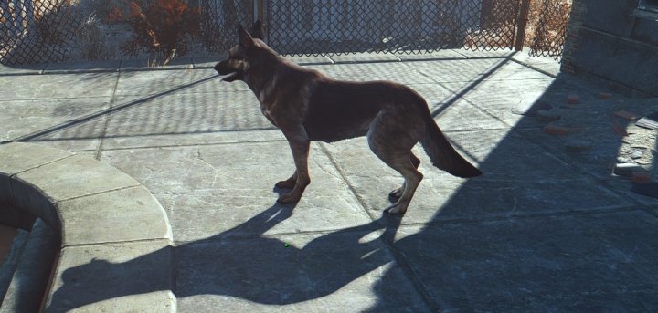 fallout 4 put armor on dogmeat