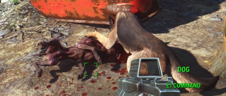 fallout 4 put armor on dogmeat